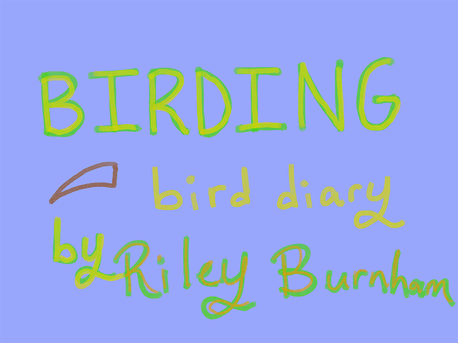 BIRDING bird diary